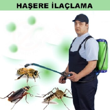 Aralık Böcek İlaçlama
